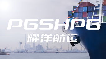 重塑企业形象 耀洋航运VI设计与品牌策划案例解析