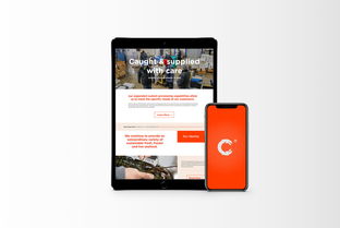 万域品牌形象设计 以清洁与现代理念重塑生鲜食品企业新形象